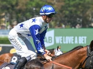 Crack Me Up on target for Doncaster Mile