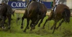 Wet Rosehill track