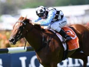 I Am Excited claims Darby Munro Stakes