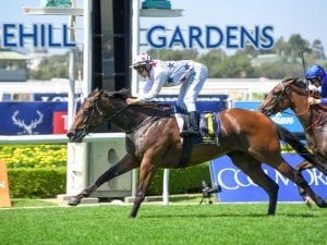 Sunlight firms for Golden Slipper with win