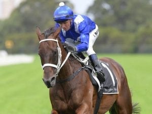 Winx headlines field of nine for G1 Ryder