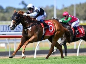 Sista Act a gem for trainer Liam Birchley