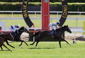 Sakura Girl set to bloom in Oaks