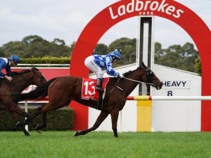 Sandown racing tips, best odds & quaddie | Wednesday 3/3/2021