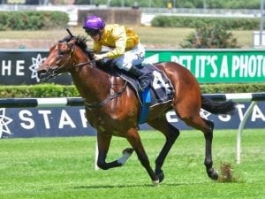 Santos ticking over for Golden Slipper