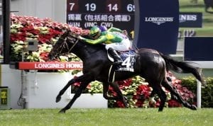 Magic man believes Satono can take Dubai Crown