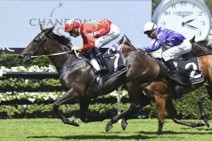 Seabrook to fly the Kiwi flag in the Slipper