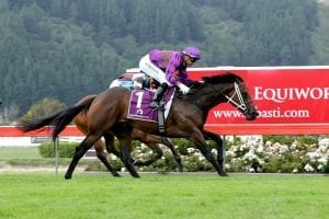 Sir Nate focused towards Sires' Produce