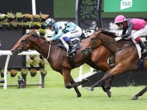 Wet Slipper not likely to faze Maher pair