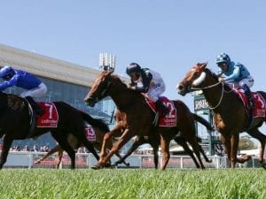 Lankan Star to be vetted before Slipper