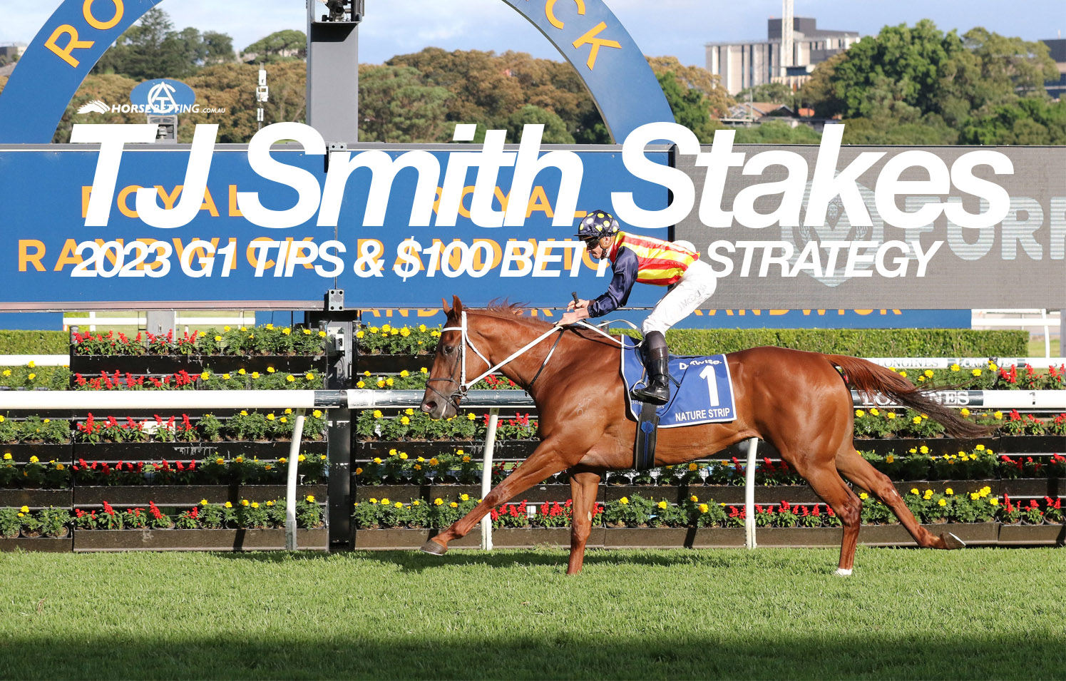 TJ Smith Stakes tips