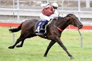 3YO earns second Derby chance