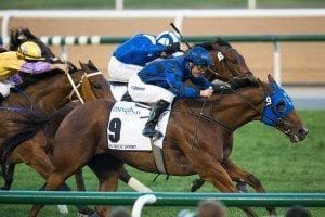 Buffering wins Al Quoz Sprint