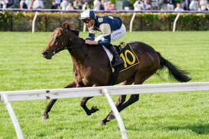 Yonce wins at Flemington