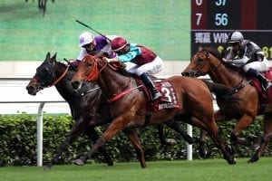 Beat The Clock’s battles Rattan to win Chairman's Sprint