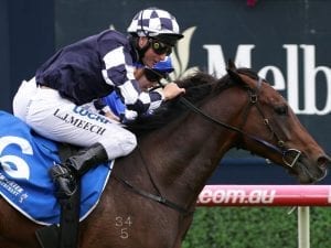 Grinzinger Star causes a Caulfield upset