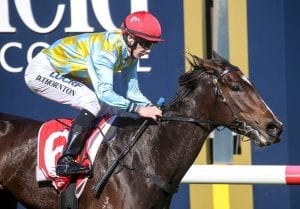 Creativity mends her ways in Caulfield win