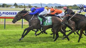 Exotic Ruby wins at Hawkesbury