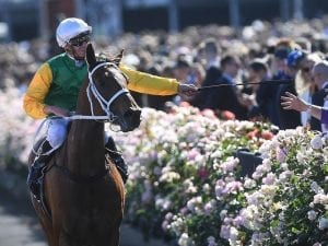 Flemington mounting yard has been extended