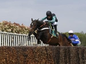 Jumper Altior stars again at Sandown