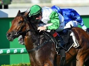 Outback Barbie to race in blinkers