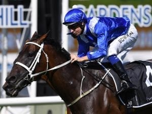 Hugh Bowman to ride Winx in gallop