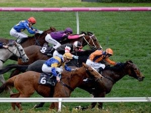 Sunday Escape right for Flemington return