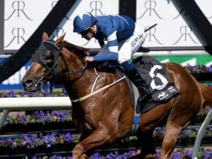 Newnham to have two Randwick runners