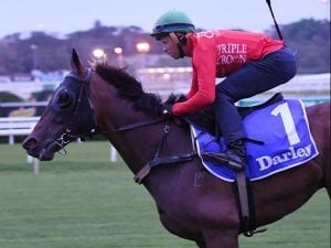 Redzel best sprinter I've ridden: McEvoy