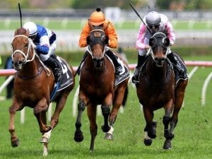 Destiny's Kiss to back up at Rosehill