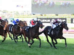 Weir has three shots at Australasian Oaks