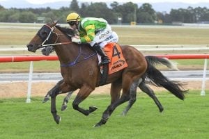 Glenall strikes winning form in Gold Rush