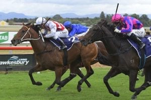 Unbeaten Graff bound for Brisbane riches