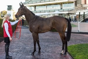 Trinity Bannon's Mackay stable flying with relocated horses