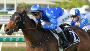 Character shows plenty in Queensland Guineas win