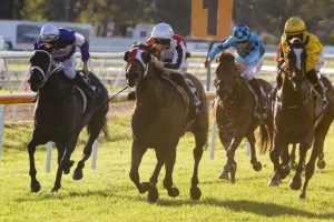 Kirwan's Lane handles heavy conditions to claim Hawkesbury Cup