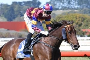 Wheeler shooting for another Warrnambool double