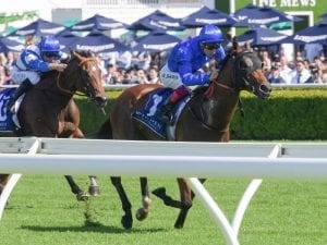 Bivouac lands consolation win at Randwick