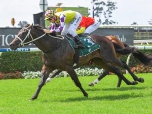 Lean Mean Machine gears up for Randwick