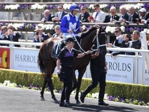 Winx makes guest appearance at Randwick