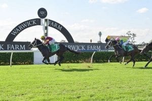 Maturing Sambro snares Hawkesbury Guineas