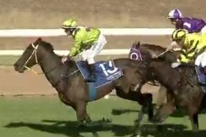 $137 outsider Snipselva stuns them at Narromine