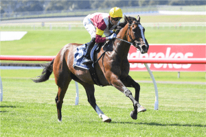 2021 Australasian Oaks betting preview & tips | Morphettville R8