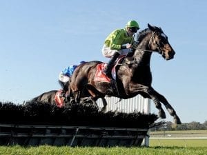 Self Sense back over hurdles in Galleywood