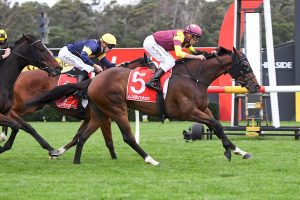 Regardsmaree wins at Sandown