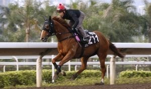 Brett Prebble and Lucky Bubbles