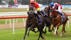 Hawkesbury hosts many great races