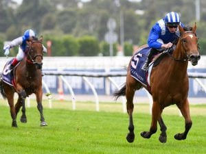 Red Roses Stakes 2020 runner-by-runner betting guide