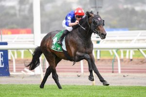 Flemington was sabotaged by climate activists on Tuesday morning