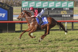 Opal Ridge wins at Scone